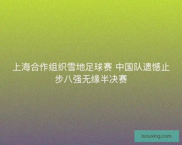 上海合作组织雪地足球赛 中国队遗憾止步八强无缘半决赛